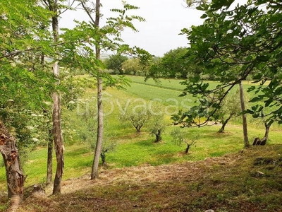 Terreno Agricolo in vendita a San Costanzo via tomba