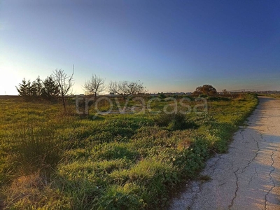 Terreno Agricolo in vendita a San Giacomo degli Schiavoni via degli Olmi, 6