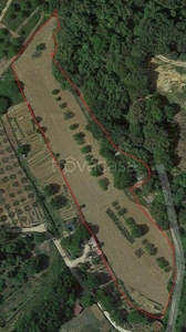 Terreno Agricolo in vendita a San Gimignano via di Castel San Gimignano