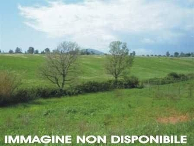 Terreno Agricolo in vendita a San Giustino viale Toscana