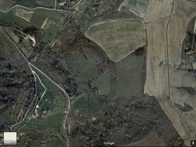 Terreno Agricolo in vendita a San Miniato