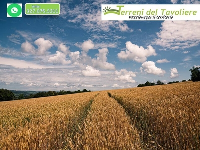 Terreno Agricolo in vendita a San Severo corso Antonio Gramsci, 17