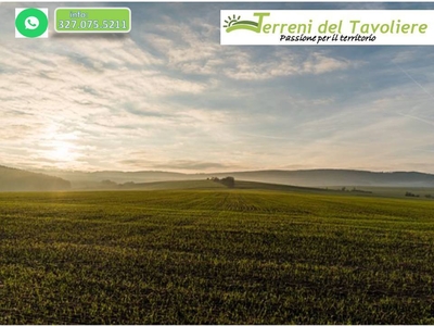 Terreno Agricolo in vendita a San Severo corso Antonio Gramsci, 17