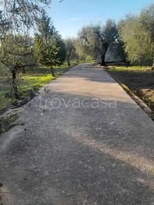 Terreno Agricolo in vendita a San Severo strada Provinciale San Severo Castelnuovo della Daunia