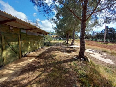 Terreno Agricolo in vendita a San Vincenzo strada per Campiglia Marittima, 5