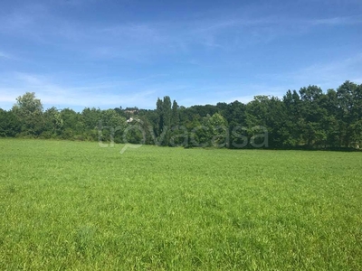 Terreno Agricolo in vendita a San Zenone degli Ezzelini via Noè Bordignon