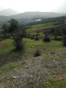 Terreno Agricolo in vendita a Santa Flavia autostrada palermo-catania