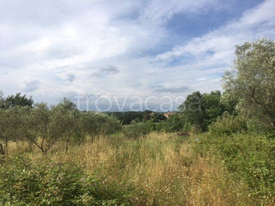 Terreno Agricolo in vendita a Santa Maria a Monte via Valle, 18