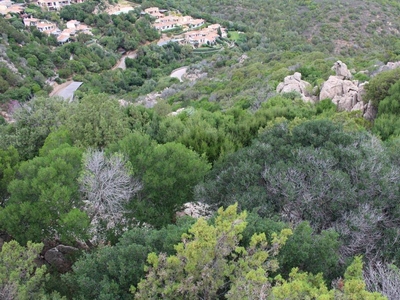 Terreno Agricolo in vendita a Santa Teresa Gallura strada Provinciale, 70