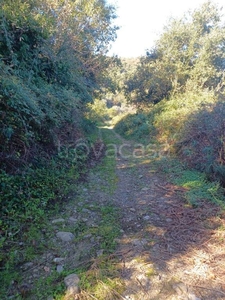 Terreno Agricolo in vendita a Sant'Agata di Militello contrada Scafone Cipollazzi