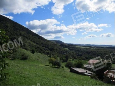 Terreno Agricolo in vendita a Sant'Anna d'Alfaedo localita' ca' del corno