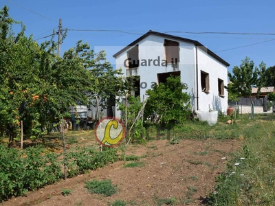 Terreno Agricolo in vendita a Sant'Elia Fiumerapido
