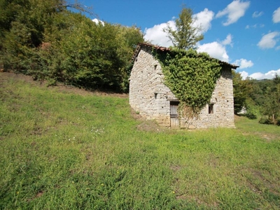 Terreno Agricolo in vendita a Sant'Omobono Terme via g. Zelioli