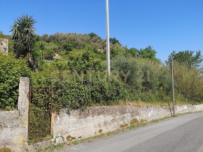 Terreno Agricolo in vendita a Saponara via Papa Giovanni xxiii, 11