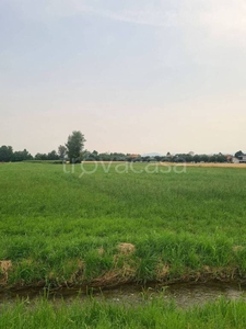 Terreno Agricolo in vendita a Sarcedo via Villa Capra, 39