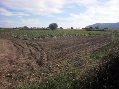 Terreno Agricolo in vendita a Sarzana viale