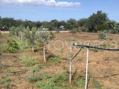 Terreno Agricolo in vendita a Sassari strada Vicinale Pischina Ruia