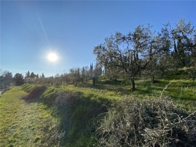 Terreno Agricolo in vendita a Scandicci carcheri 200