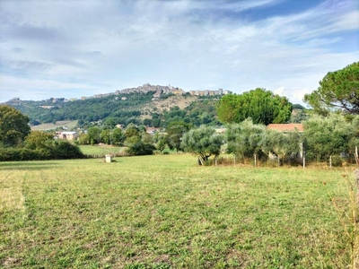 Terreno Agricolo in vendita a Segni via Carpinetana Ovest, 61
