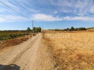 Terreno Agricolo in vendita a Selargius statale 387, 39 18'12