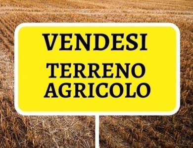 Terreno Agricolo in vendita a Senigallia