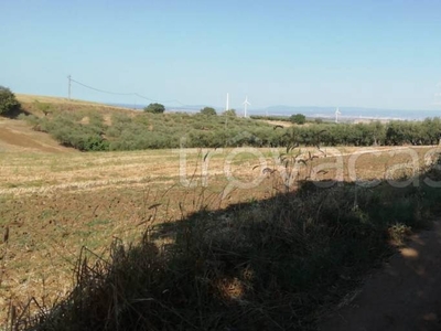 Terreno Agricolo in vendita a Serracapriola strada Provinciale Chieuti Serracapriola Torre Fantina, 29