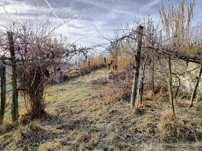 Terreno Agricolo in vendita a Serralunga d'Alba via Roddino, snc