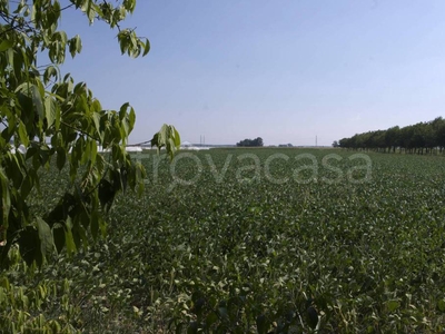 Terreno Agricolo in vendita a Serravalle a Po via Cardinala, 14A