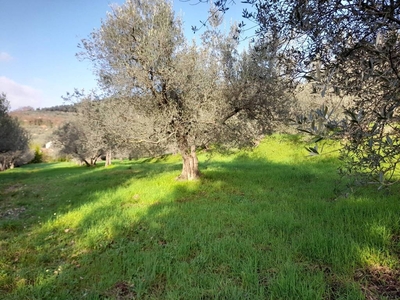 Terreno Agricolo in vendita a Sesto Fiorentino via degli Scarpettini