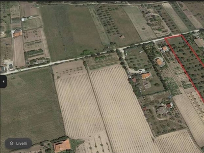 Terreno Agricolo in vendita a Sorso località Pien di Luna, snc