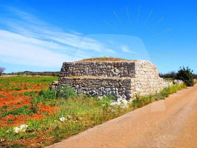 Terreno Agricolo in vendita a Specchia strada Comunale Bortolone