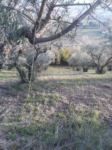 Terreno Agricolo in vendita a Spoleto loc. Pontebari