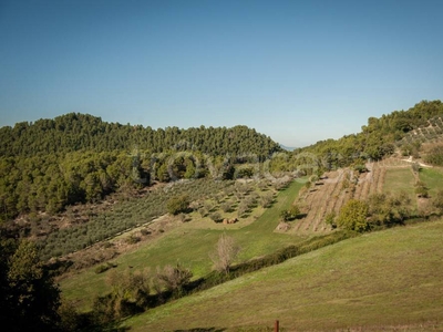 Terreno Agricolo in vendita a Spoleto località icciano-perchia