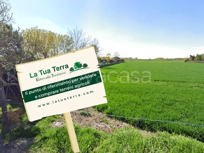 Terreno Agricolo in vendita a Suardi via Campanella