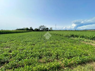 Terreno Agricolo in vendita a Sulbiate via Cascina Ca, 1