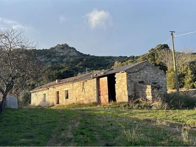 Terreno Agricolo in vendita a Telti santu bacchã¬si