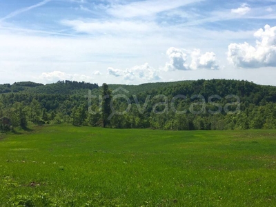 Terreno Agricolo in vendita a Terni via Monte Falterona