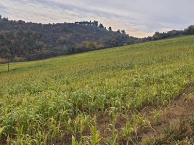 Terreno Agricolo in vendita a Trevi