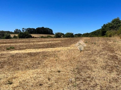 Terreno Agricolo in vendita a Trevignano Romano via della Madonnella, 11