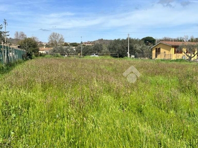 Terreno Agricolo in vendita a Trevignano Romano via Ticino