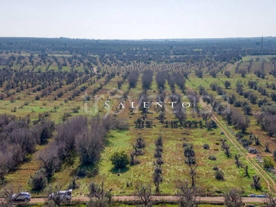 Terreno Agricolo in vendita a Ugento sp72, 16