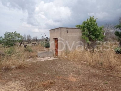 Terreno Agricolo in vendita a Ugento via Salve