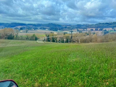 Terreno Agricolo in vendita a Umbertide