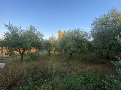 Terreno Agricolo in vendita a Umbertide strada statale 3 bis Tiberina