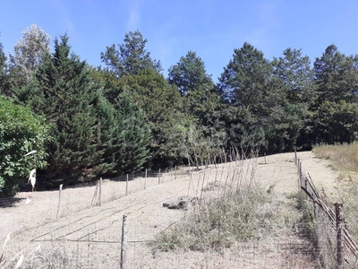 Terreno Agricolo in vendita a Vaglia via Fiorentina