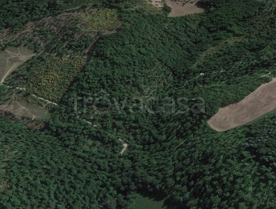 Terreno Agricolo in vendita a Valfabbrica vocabolo Casella Monteverde, 3