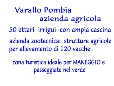 Terreno Agricolo in vendita a Varallo Pombia