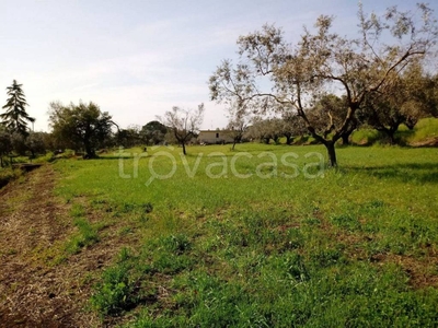 Terreno Agricolo in vendita a Velletri via delle Vascucce, 218