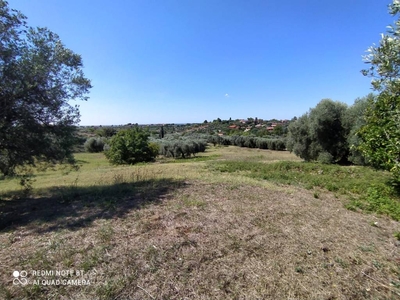 Terreno Agricolo in vendita a Velletri via Soleluna