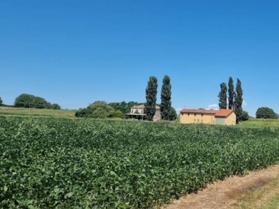 Terreno Agricolo in vendita a Vescovana via Moro